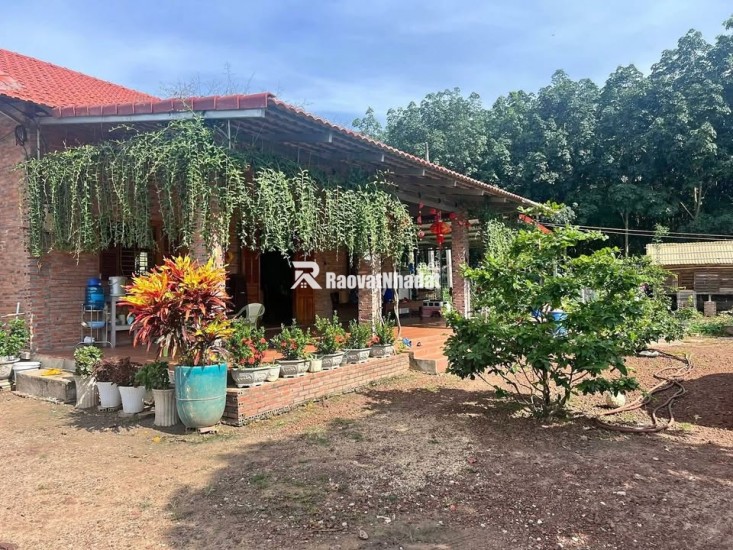 Kinh doanh thua lỗ bán nhanh nhà 2290m2 đất sổ riêng gần ngay khu công nghiệp đang hoạt động. Giá 380tr